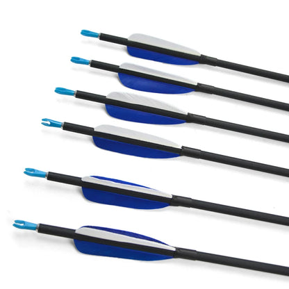 12pcs Archery Mixed Carbon Arrow